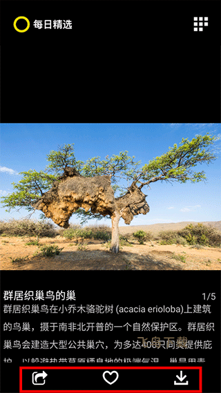 每日精选_https://www.fnxz.com_系统工具_第2张