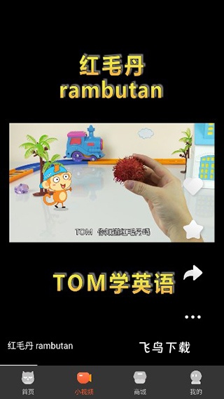 花漾搜索app_https://www.fnxz.com_系统工具_第4张