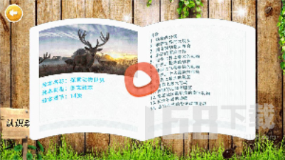 认识动物_学习教育_第2张_飞鸟下载 认识动物_https://www.fnxz.com_学习教育_第2张