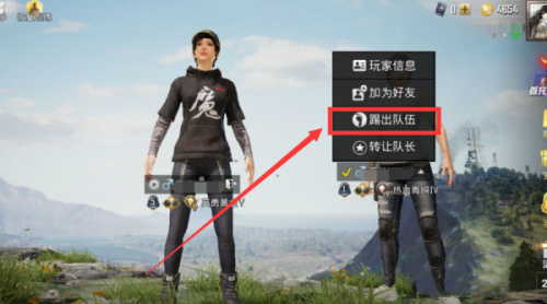 和平精英怎么踢人出房间_https://www.fnxz.com_游戏攻略_第2张