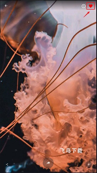 4k wallpapersapp_https://m.fnxz.com_手机美化_第2张