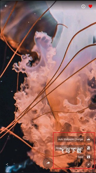 4k wallpapersapp_https://m.fnxz.com_手机美化_第3张