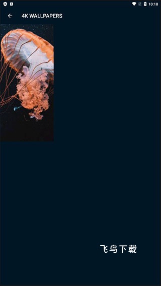 4k wallpapersapp_https://m.fnxz.com_手机美化_第5张